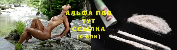PSILOCYBIN Мегион