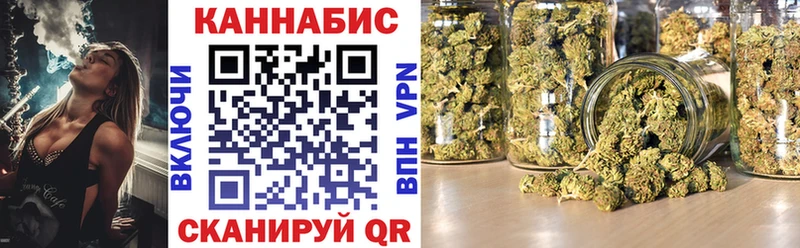 Бошки Шишки планчик Жуков